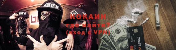 амф Новозыбков