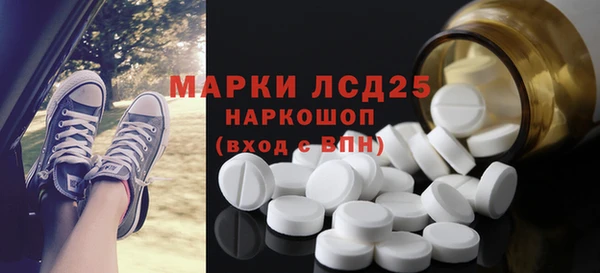 амф Новозыбков