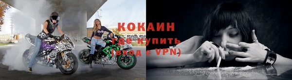 ПСИЛОЦИБИНОВЫЕ ГРИБЫ Нязепетровск