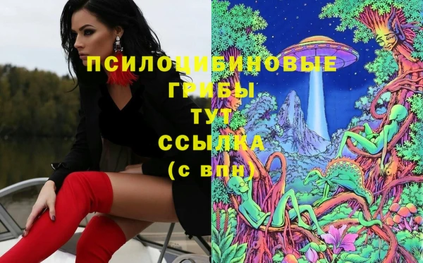 мескалин Новодвинск
