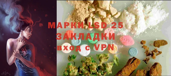 амф Новозыбков