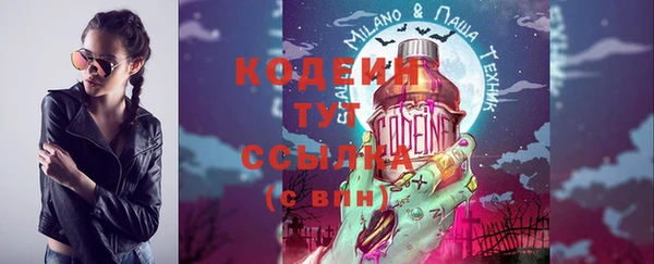 амф Новозыбков