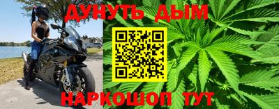 амф Шахты