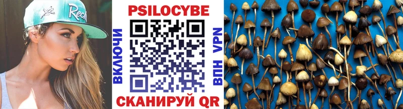 Псилоцибиновые грибы Magic Shrooms гидра как зайти Приморско-Ахтарск