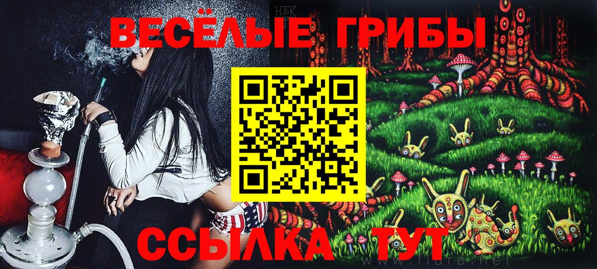 Псилоцибиновые грибы мухоморы Приморско-Ахтарск