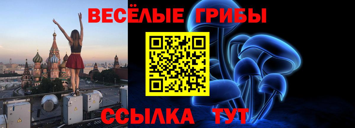 Приморско-Ахтарск  Псилоцибиновые грибы GOLDEN TEACHER  наркошоп  Псилоцибиновые грибы прущие грибы  Вход с VPN 