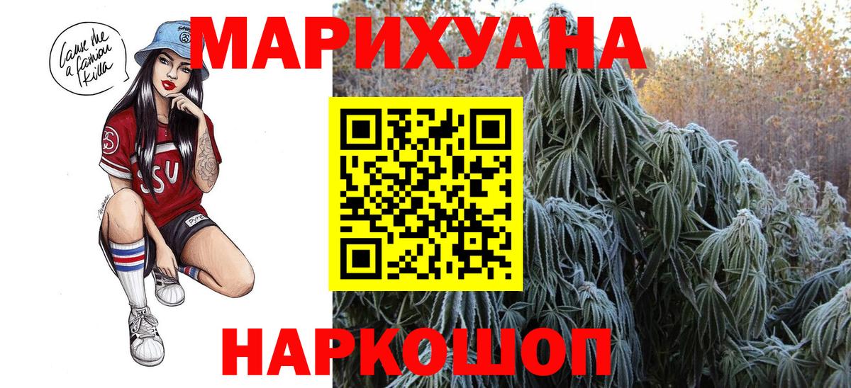 Конопля гибрид Приморско-Ахтарск
